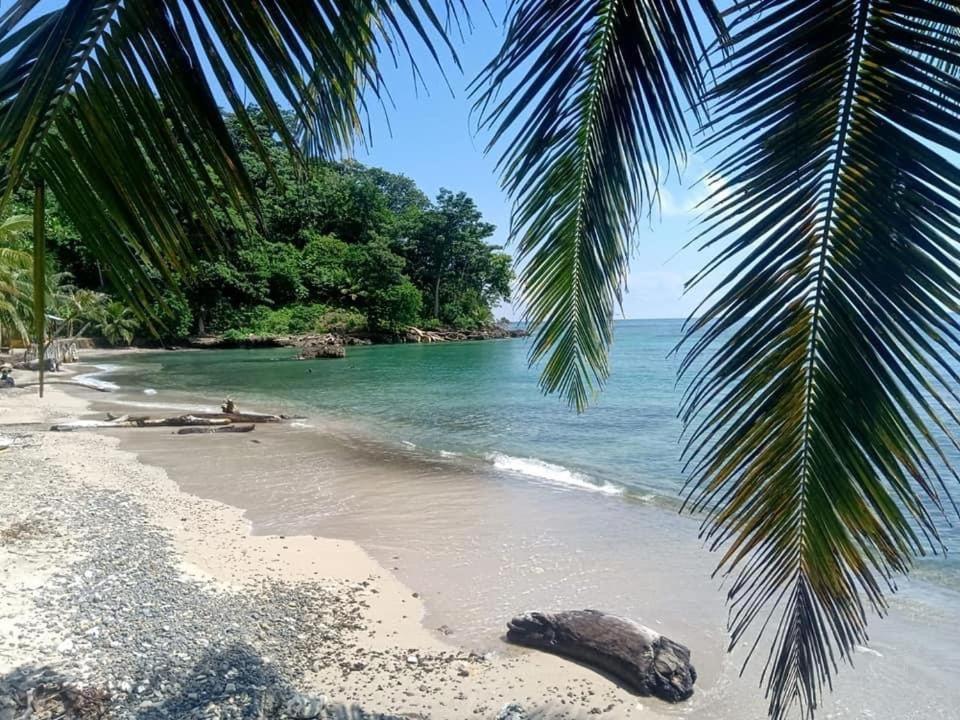 Tucan Eco *