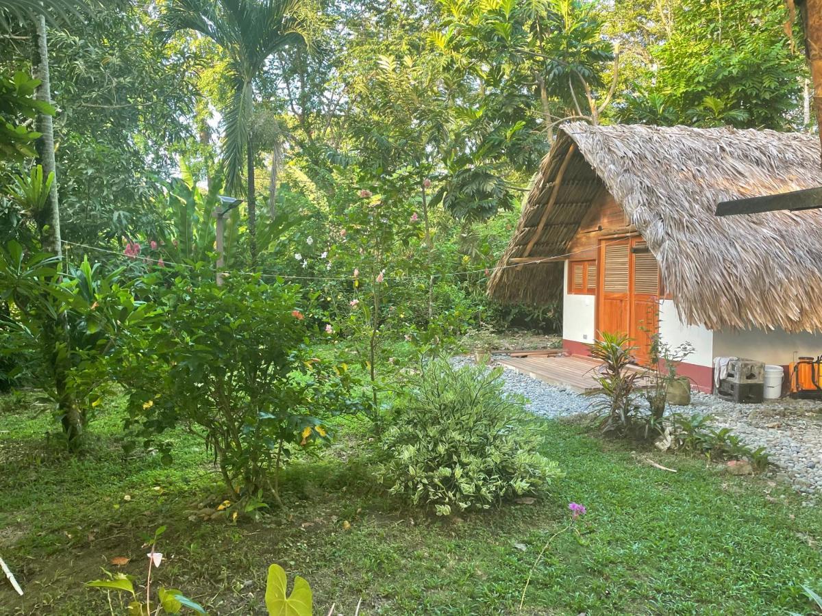 Tucan Eco Séjour à la campagne *