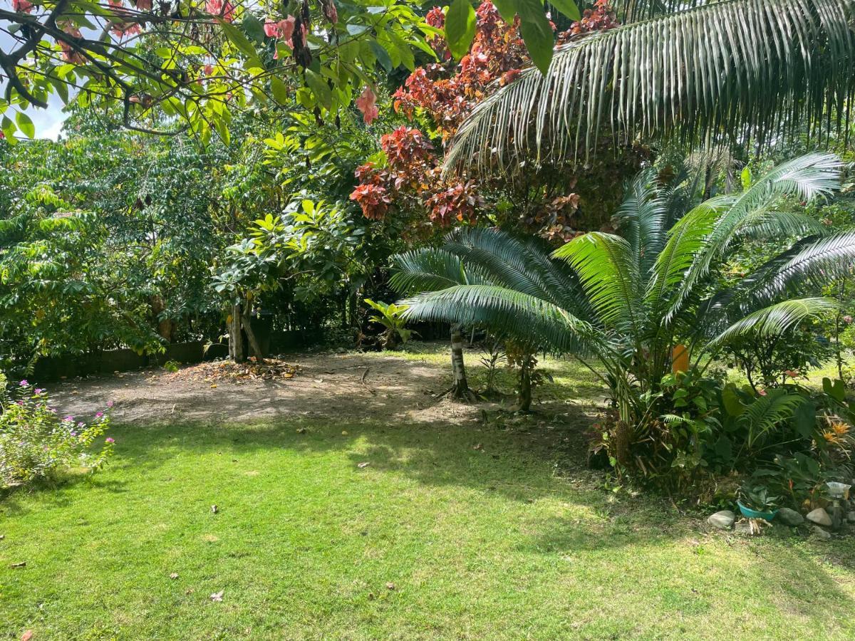 Tucan Eco
